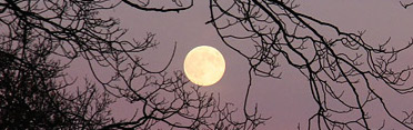 Lunar Lunacy