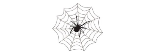Some Arachnid Lore