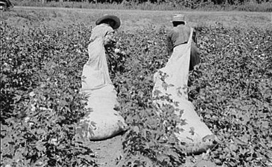 Burdensome Labor