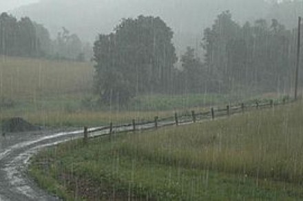 Rain