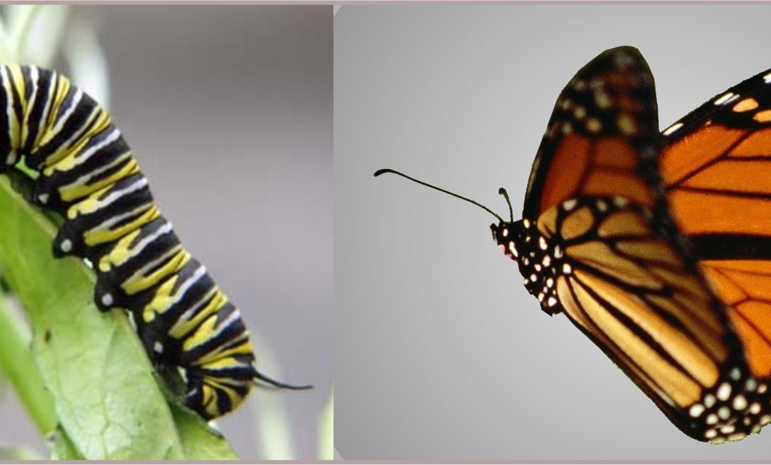 Transformations