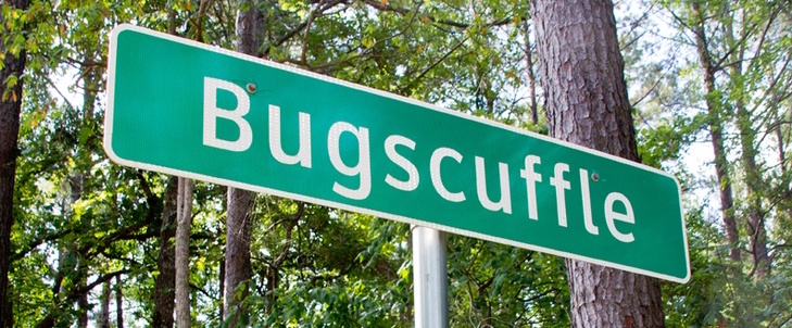 Bugscuffle