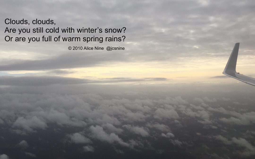 Question Poems