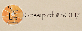 The Gossip of SOL17