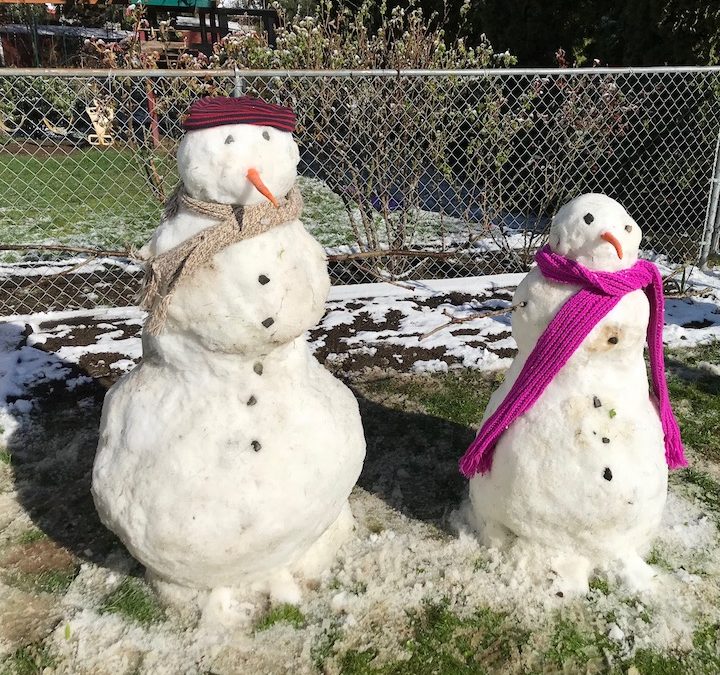 Epitaph for the Snows