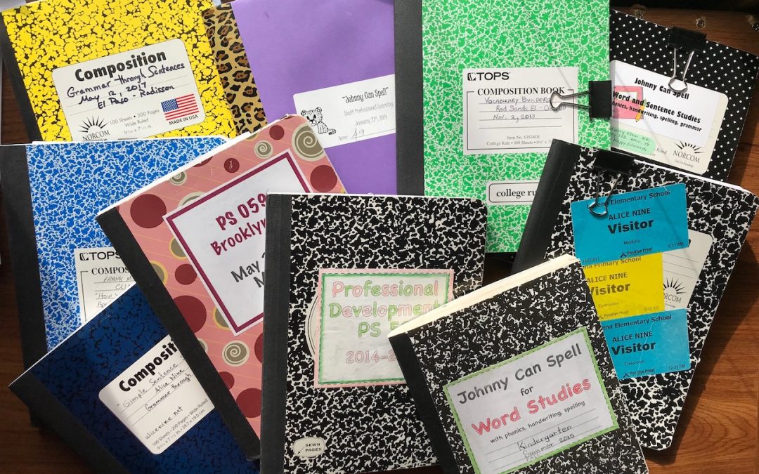 My PD Journals, Part 2