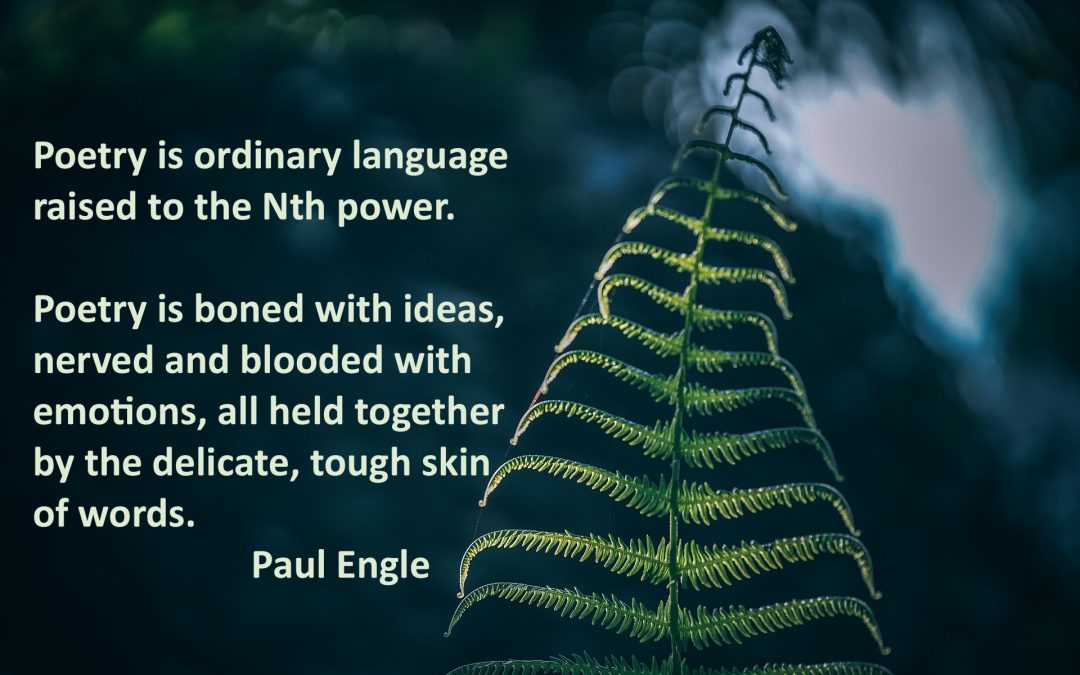Poetry is… #14