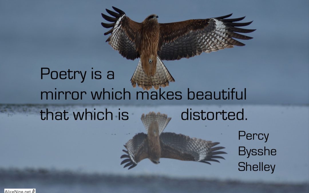 Poetry is… #29