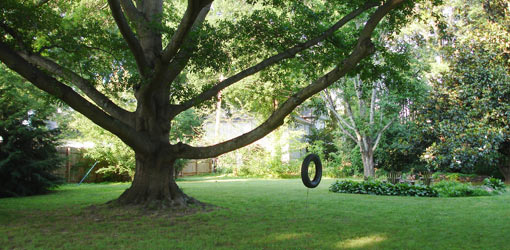 Instructions to a Tree