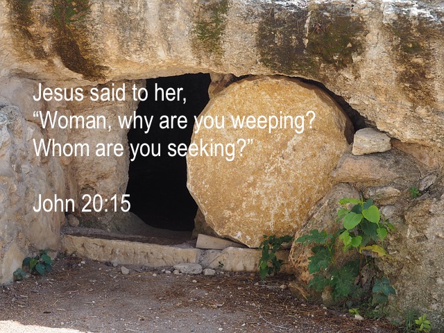 The More I Seek You