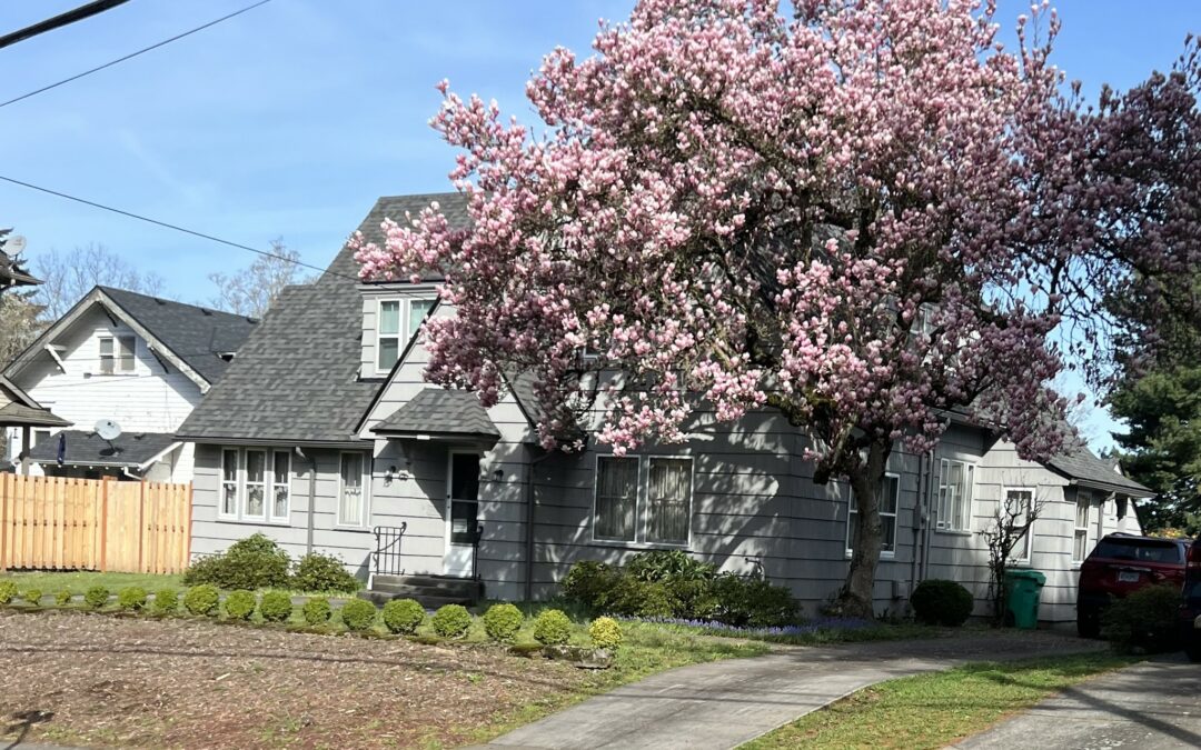 In the Spring