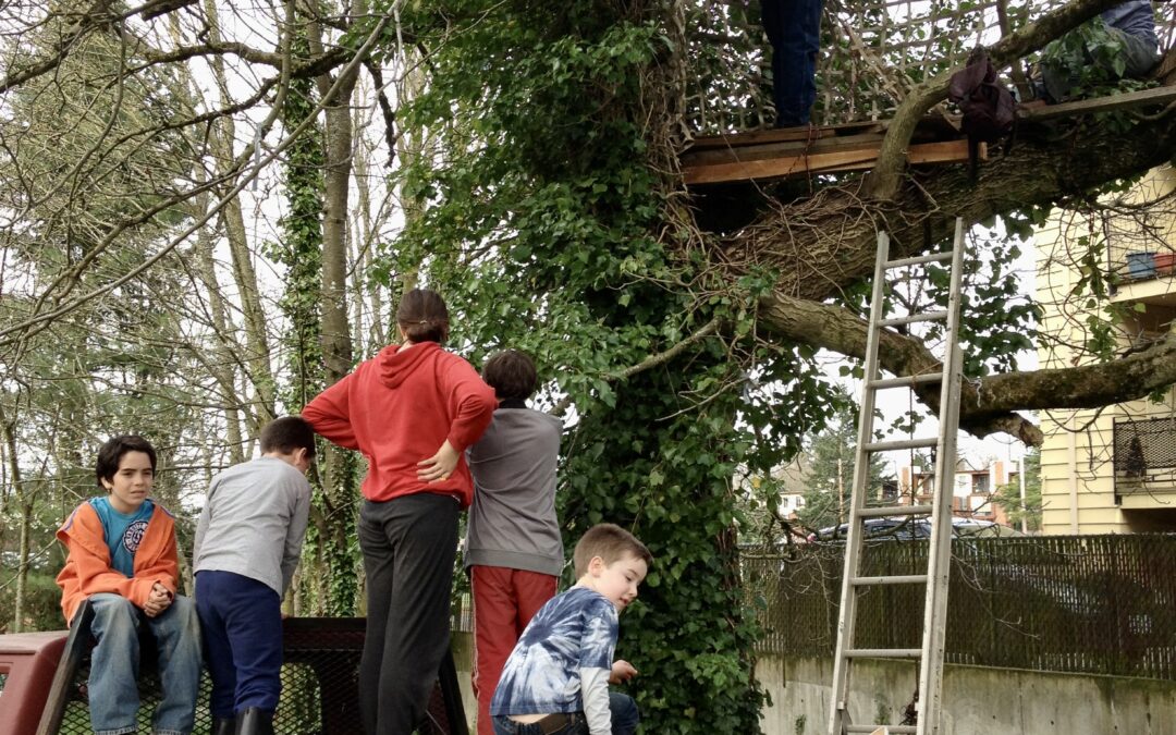 In the Walnut Tree