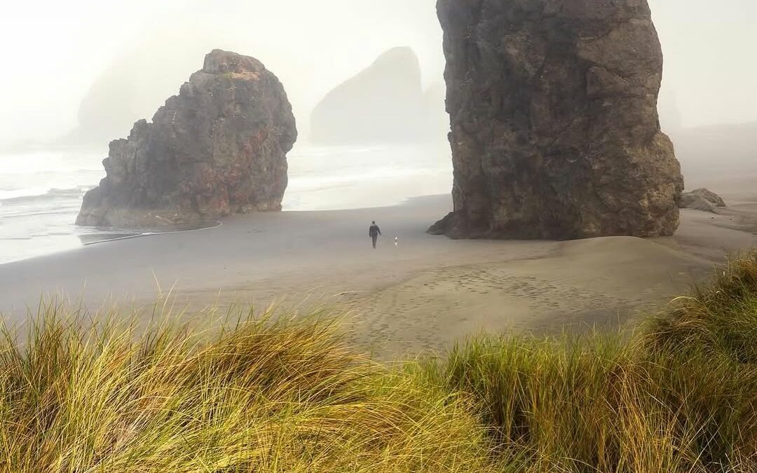 Sea Fog