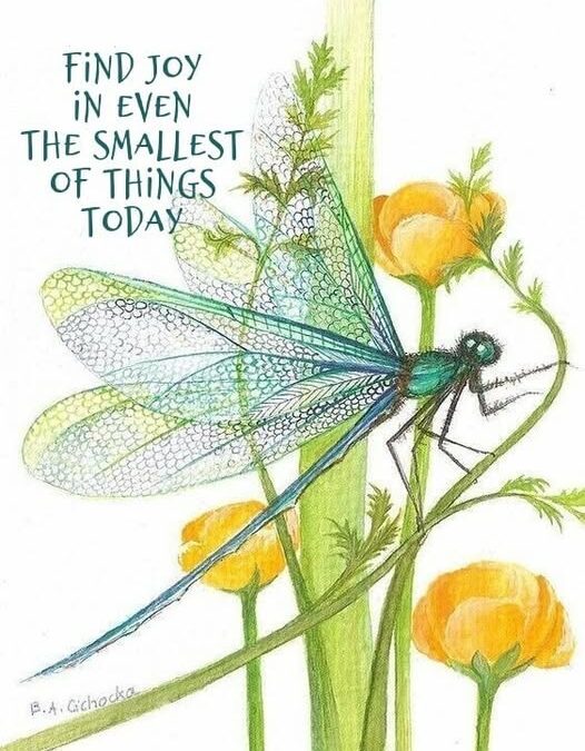 Find JOY in Little Things