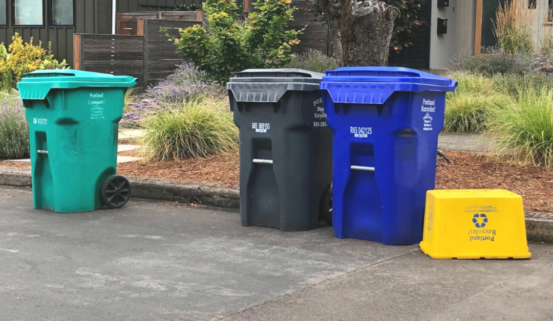 The Color of Trash