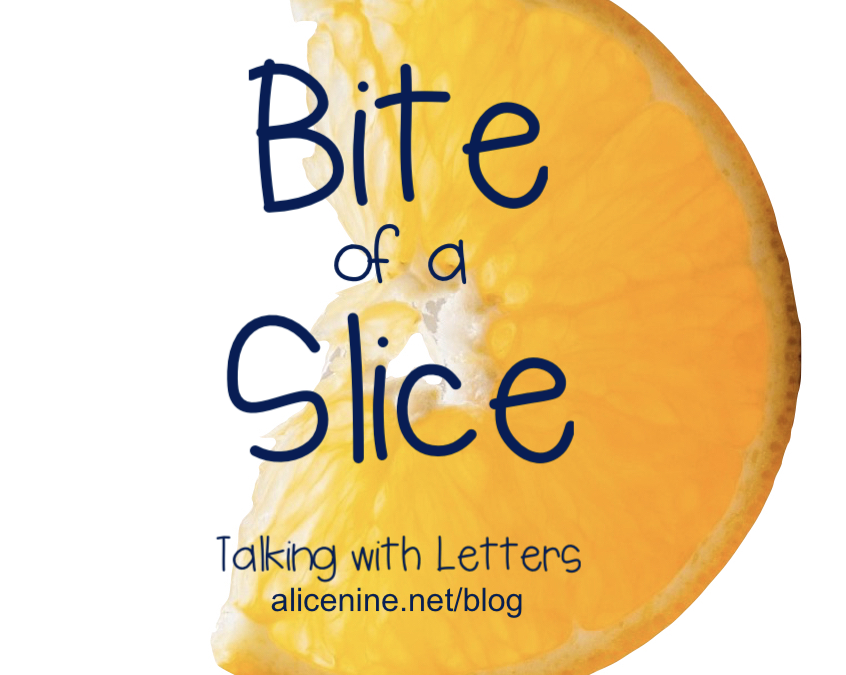 Travel Bite #1